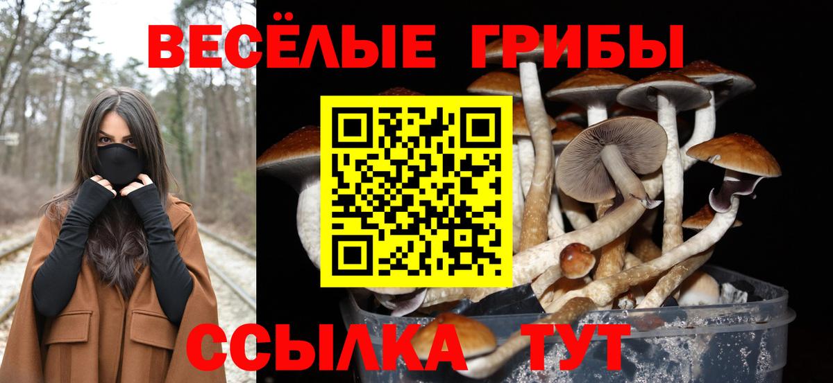 Псилоцибиновые грибы прущие грибы Саранск